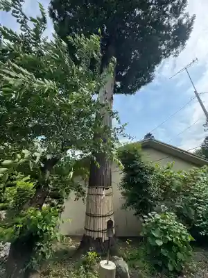 伊奈冨神社(三重県)