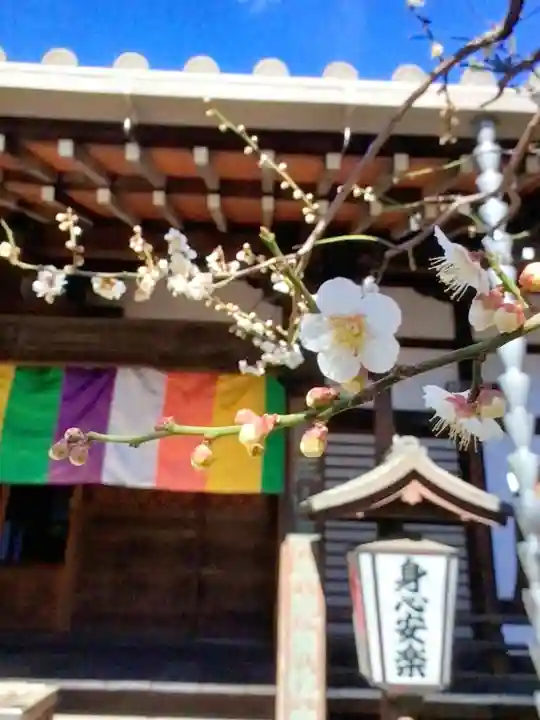 常性寺(東京都)