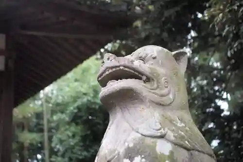 楡山神社の狛犬