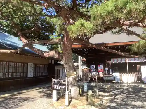尾張冨士大宮浅間神社の自然