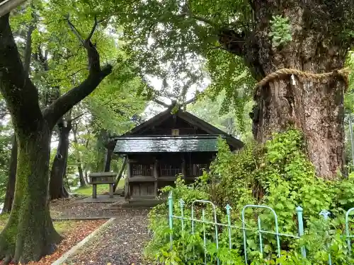 鞆江神社（明地）の{uncategorized: "未分類", other: "その他", undefined: "問題あり", building: "その他建物", grave: "お墓", sacred_gate: "鳥居", guardian: "狛犬", statue: "像", buddha: "仏像", history: "歴史", nature: "自然", garden: "庭園", animal: "動物", pagoda: "塔", temizu: "手水舎", mountain_gate: "山門・神門", sanctuary: "本殿・本堂", subordinate: "末社・摂社", art: "芸術", scenery: "景色", jizo: "地蔵", ema: "絵馬", goshuin: "御朱印", omikuji: "おみくじ", items: "授与品その他", amulet: "お守り", goshuincho: "御朱印帳", eats: "食事", festival: "お祭り", votive_dance: "神楽", shichigosan: "七五三参", wedding: "結婚式", experience: "体験その他", initially: "初詣", around: "周辺", anti_infection: "感染症対策"}