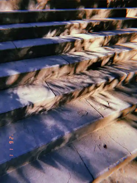 渋谷氷川神社の{uncategorized: "未分類", other: "その他", undefined: "問題あり", building: "その他建物", grave: "お墓", sacred_gate: "鳥居", guardian: "狛犬", statue: "像", buddha: "仏像", history: "歴史", nature: "自然", garden: "庭園", animal: "動物", pagoda: "塔", temizu: "手水舎", mountain_gate: "山門・神門", sanctuary: "本殿・本堂", subordinate: "末社・摂社", art: "芸術", scenery: "景色", jizo: "地蔵", ema: "絵馬", goshuin: "御朱印", omikuji: "おみくじ", items: "授与品その他", amulet: "お守り", goshuincho: "御朱印帳", eats: "食事", festival: "お祭り", votive_dance: "神楽", shichigosan: "七五三参", wedding: "結婚式", experience: "体験その他", initially: "初詣", around: "周辺", anti_infection: "感染症対策"}