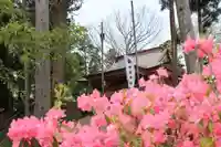 阿久津「田村神社」(郡山市阿久津町)旧社名:伊豆箱根三嶋三社の自然