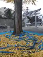福井神社(福井県)