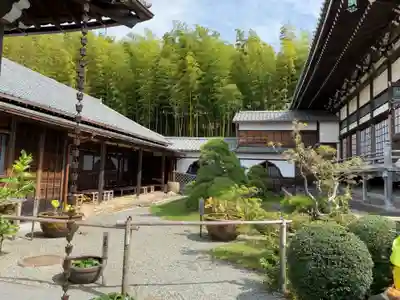 妙蓮寺の本殿・本堂