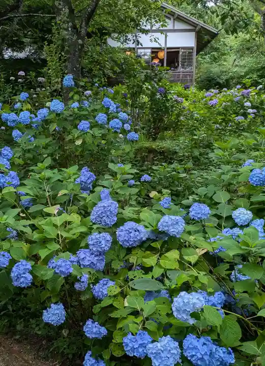 三千院門跡(京都府)
