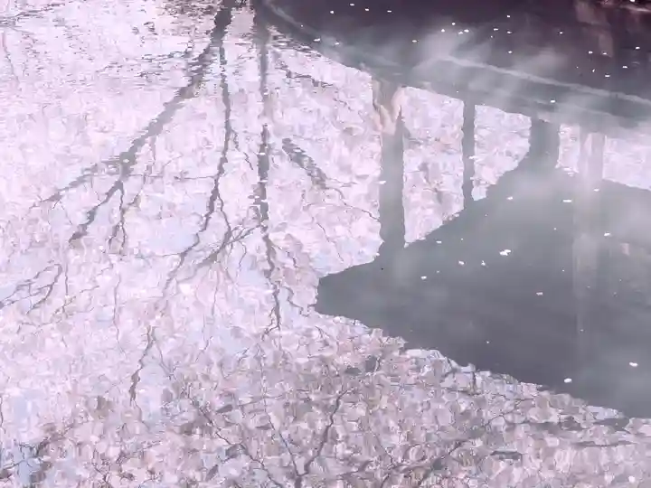 長建寺(京都府)