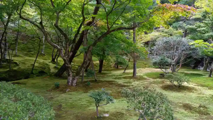 慈照寺(慈照禅寺・銀閣寺)(京都府)