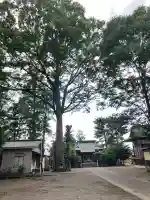 石橋愛宕神社(栃木県)