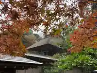 大洗磯前神社の本殿・本堂