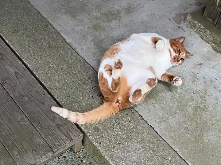 唐澤山神社(栃木県)