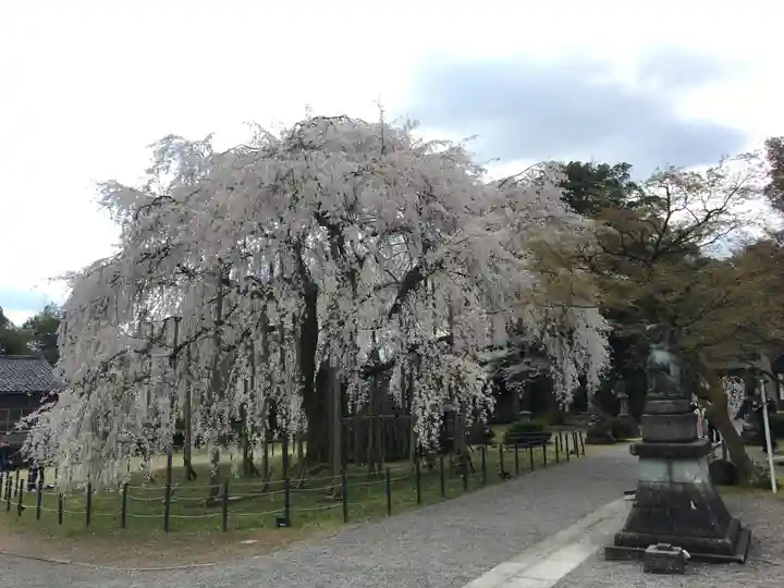 足羽神社の庭園