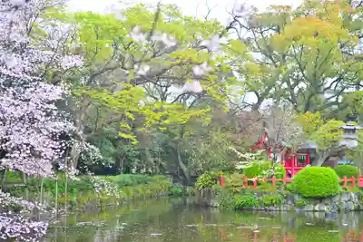 三嶋大社(静岡県)