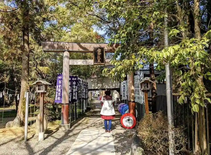 白金龍王社の鳥居