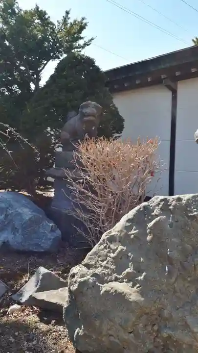 白老八幡神社の狛犬