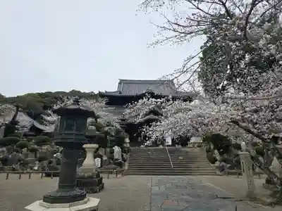 粉河寺(和歌山県)