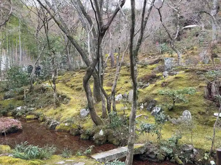 常寂光寺(京都府)
