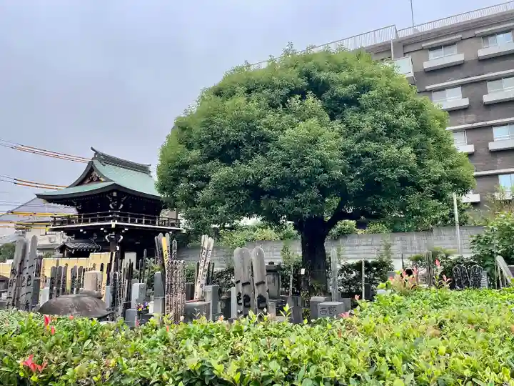 妙法寺(東京都)