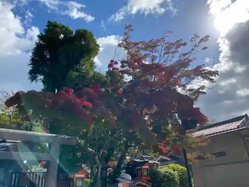 八坂神社(祇園さん)のその他建物