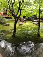 建仁寺(建仁禅寺)(京都府)