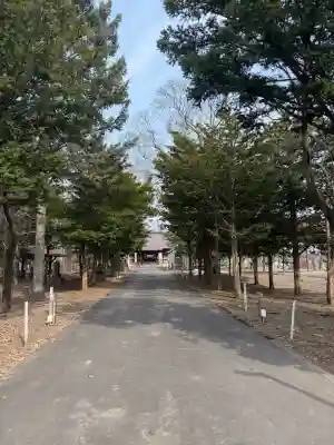 東神楽神社の{uncategorized: "未分類", other: "その他", undefined: "問題あり", building: "その他建物", grave: "お墓", sacred_gate: "鳥居", guardian: "狛犬", statue: "像", buddha: "仏像", history: "歴史", nature: "自然", garden: "庭園", animal: "動物", pagoda: "塔", temizu: "手水舎", mountain_gate: "山門・神門", sanctuary: "本殿・本堂", subordinate: "末社・摂社", art: "芸術", scenery: "景色", jizo: "地蔵", ema: "絵馬", goshuin: "御朱印", omikuji: "おみくじ", items: "授与品その他", amulet: "お守り", goshuincho: "御朱印帳", eats: "食事", festival: "お祭り", votive_dance: "神楽", shichigosan: "七五三参", wedding: "結婚式", experience: "体験その他", initially: "初詣", around: "周辺", anti_infection: "感染症対策"}