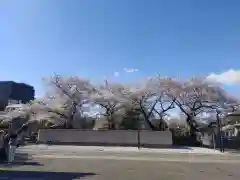 吉祥寺(東京都)