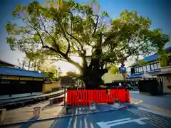 藤木社（賀茂別雷神社末社）(京都府)