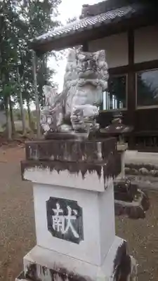 神明神社(富加町)の狛犬