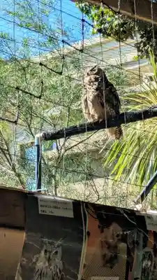 柏諏訪神社の動物