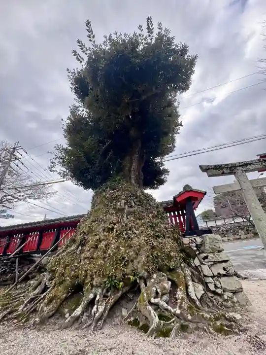 大将軍神社の{uncategorized: "未分類", other: "その他", undefined: "問題あり", building: "その他建物", grave: "お墓", sacred_gate: "鳥居", guardian: "狛犬", statue: "像", buddha: "仏像", history: "歴史", nature: "自然", garden: "庭園", animal: "動物", pagoda: "塔", temizu: "手水舎", mountain_gate: "山門・神門", sanctuary: "本殿・本堂", subordinate: "末社・摂社", art: "芸術", scenery: "景色", jizo: "地蔵", ema: "絵馬", goshuin: "御朱印", omikuji: "おみくじ", items: "授与品その他", amulet: "お守り", goshuincho: "御朱印帳", eats: "食事", festival: "お祭り", votive_dance: "神楽", shichigosan: "七五三参", wedding: "結婚式", experience: "体験その他", initially: "初詣", around: "周辺", anti_infection: "感染症対策"}