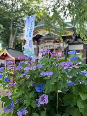 川越八幡宮(埼玉県)