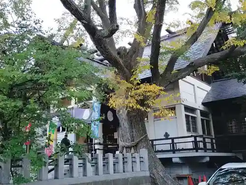 豊平神社の自然