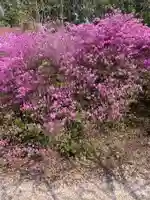 貴船神社の自然