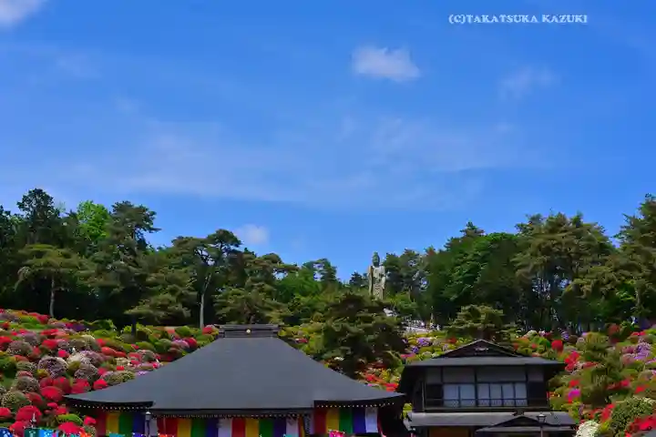 塩船観音寺(東京都)