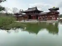 平等院の{uncategorized: "未分類", other: "その他", undefined: "問題あり", building: "その他建物", grave: "お墓", sacred_gate: "鳥居", guardian: "狛犬", statue: "像", buddha: "仏像", history: "歴史", nature: "自然", garden: "庭園", animal: "動物", pagoda: "塔", temizu: "手水舎", mountain_gate: "山門・神門", sanctuary: "本殿・本堂", subordinate: "末社・摂社", art: "芸術", scenery: "景色", jizo: "地蔵", ema: "絵馬", goshuin: "御朱印", omikuji: "おみくじ", items: "授与品その他", amulet: "お守り", goshuincho: "御朱印帳", eats: "食事", festival: "お祭り", votive_dance: "神楽", shichigosan: "七五三参", wedding: "結婚式", experience: "体験その他", initially: "初詣", around: "周辺", anti_infection: "感染症対策"}