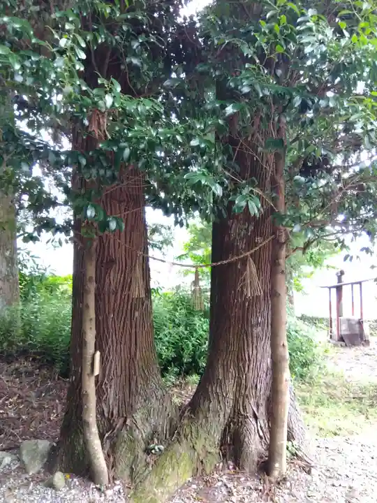 乗政八幡神社(岐阜県)