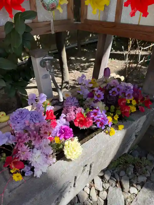 多賀神社の{uncategorized: "未分類", other: "その他", undefined: "問題あり", building: "その他建物", grave: "お墓", sacred_gate: "鳥居", guardian: "狛犬", statue: "像", buddha: "仏像", history: "歴史", nature: "自然", garden: "庭園", animal: "動物", pagoda: "塔", temizu: "手水舎", mountain_gate: "山門・神門", sanctuary: "本殿・本堂", subordinate: "末社・摂社", art: "芸術", scenery: "景色", jizo: "地蔵", ema: "絵馬", goshuin: "御朱印", omikuji: "おみくじ", items: "授与品その他", amulet: "お守り", goshuincho: "御朱印帳", eats: "食事", festival: "お祭り", votive_dance: "神楽", shichigosan: "七五三参", wedding: "結婚式", experience: "体験その他", initially: "初詣", around: "周辺", anti_infection: "感染症対策"}