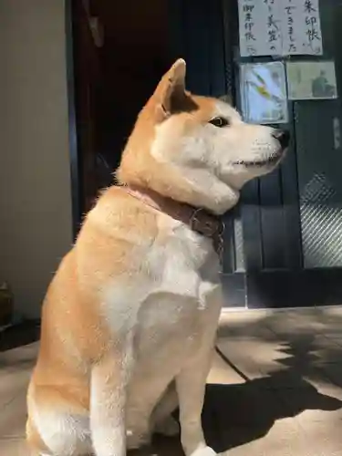笠䅣稲荷神社(神奈川県)