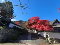 摩尼院(金剛寺子院)(大阪府)