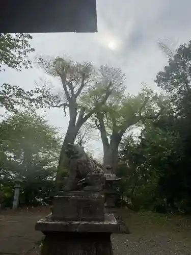 八幡神社(福島県)