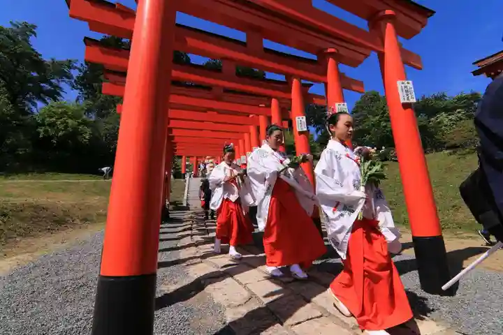 高屋敷稲荷神社のお祭り