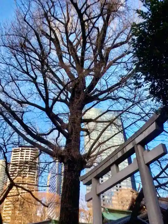 熊野神社(東京都)