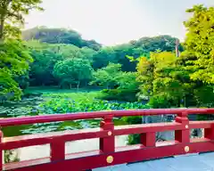 鶴岡八幡宮の庭園