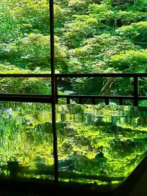 光明寺瑠璃光院(京都府)