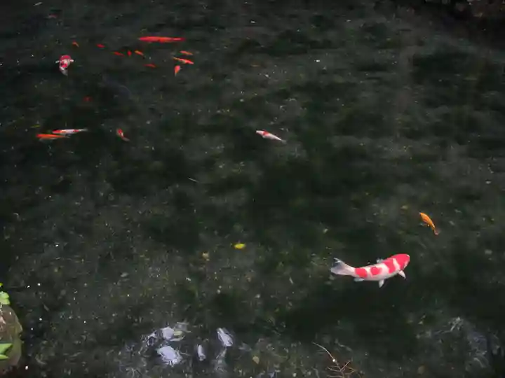 涌釜神社の周辺