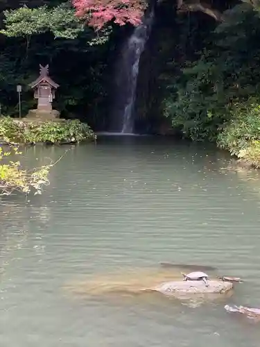出雲大社北島国造館 出雲教(島根県)