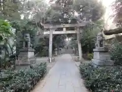 赤坂氷川神社の鳥居