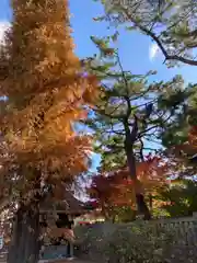 阿部野神社の自然