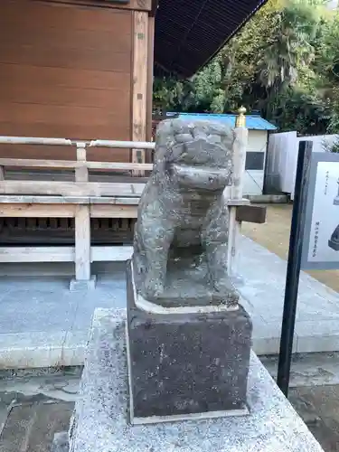 杉田八幡神社（杉田八幡宮）の狛犬