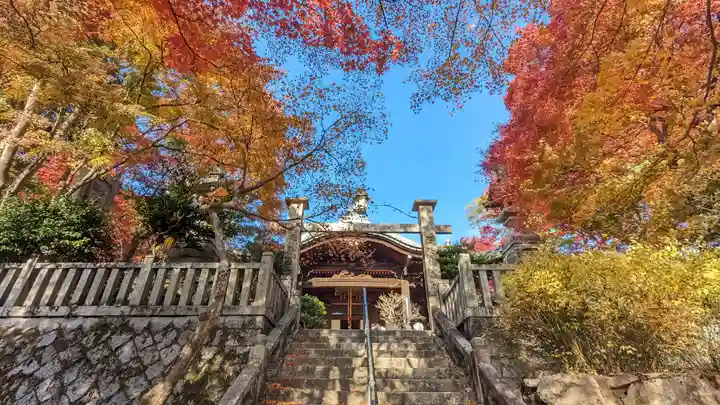 柳谷観音 楊谷寺(京都府)